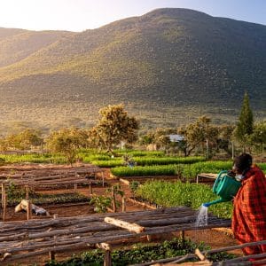 Vast community farm with women watering crops against scenic mountain backdrop, promoting sustainable agriculture and environmental conservation.