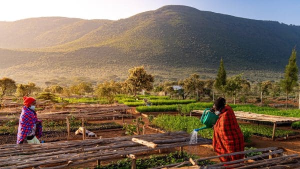 Vast community farm with women watering crops against scenic mountain backdrop, promoting sustainable agriculture and environmental conservation.